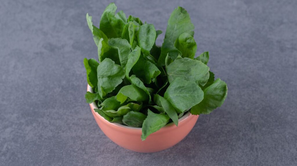 5 Ways To Add Watercress To Diet