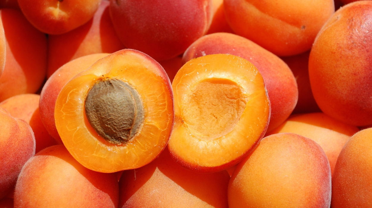 Are Apricots Good For You?