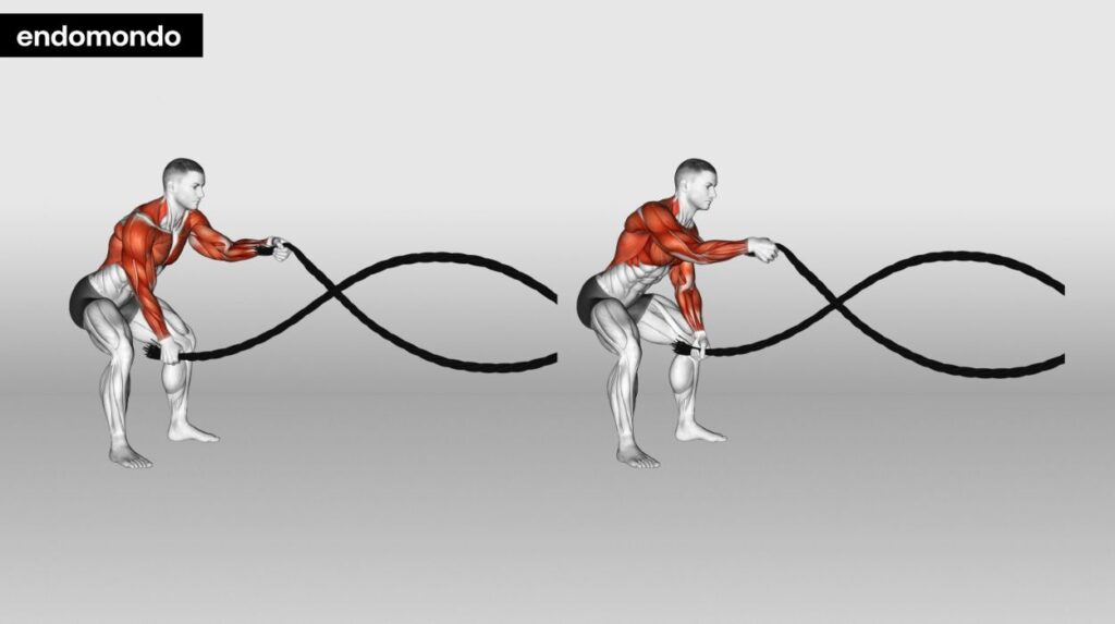 Battle Ropes