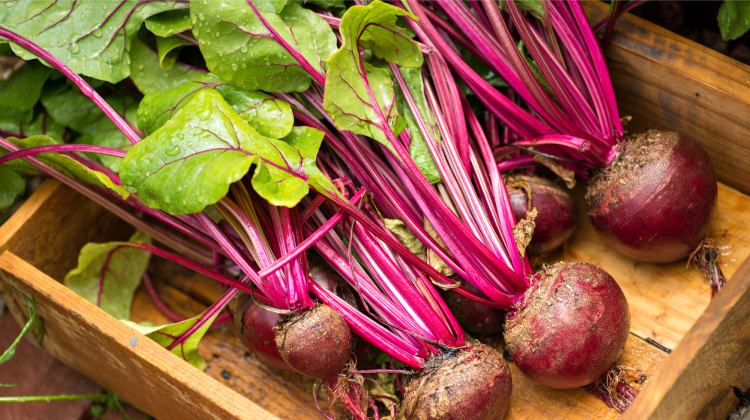 Beets