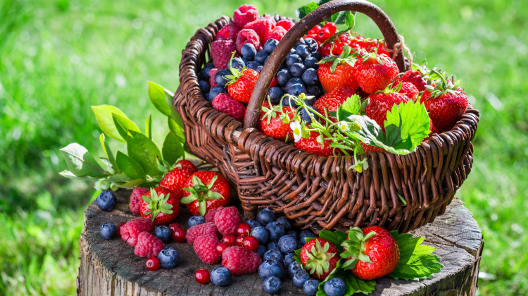 Berries, Colorful Fruits, And Vegetables