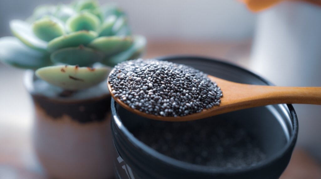 The Benefits Of Chia Seeds In A Diabetes Diet