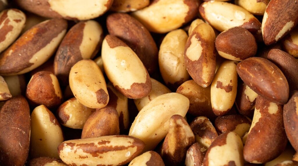 Brazil Nuts