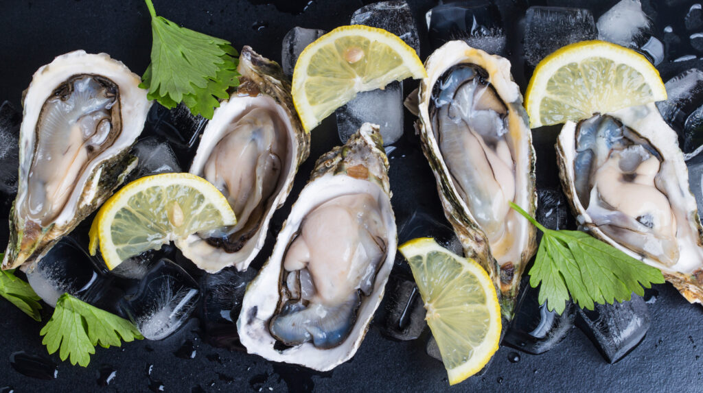 Oysters