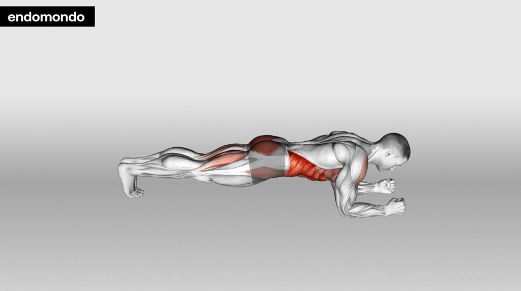 Plank Variations