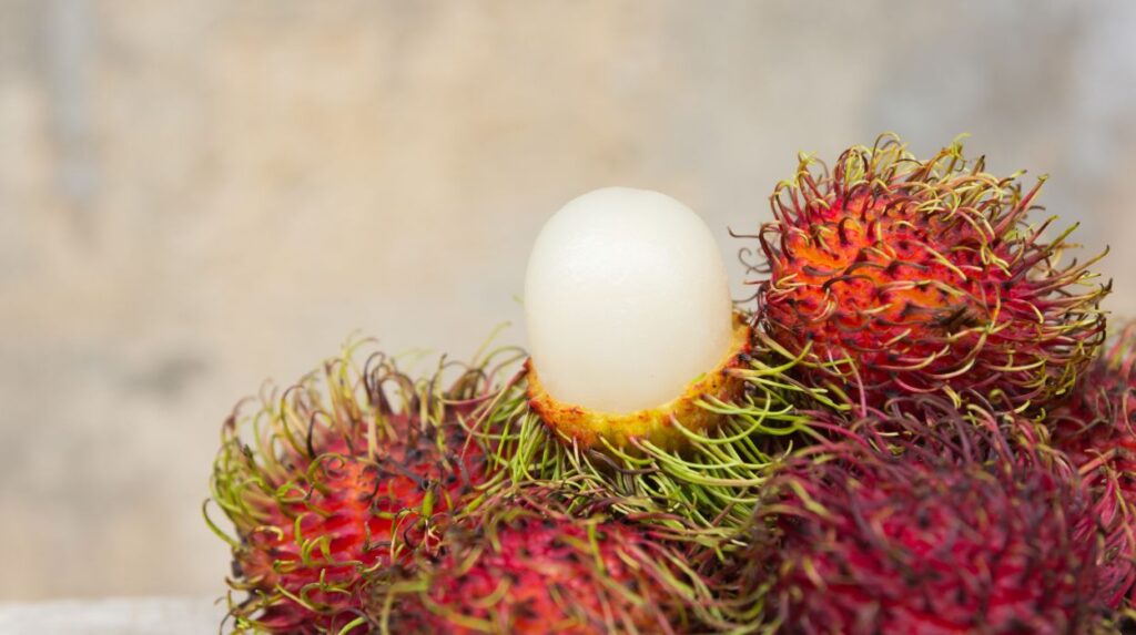 Rambutan Fruit Benefits