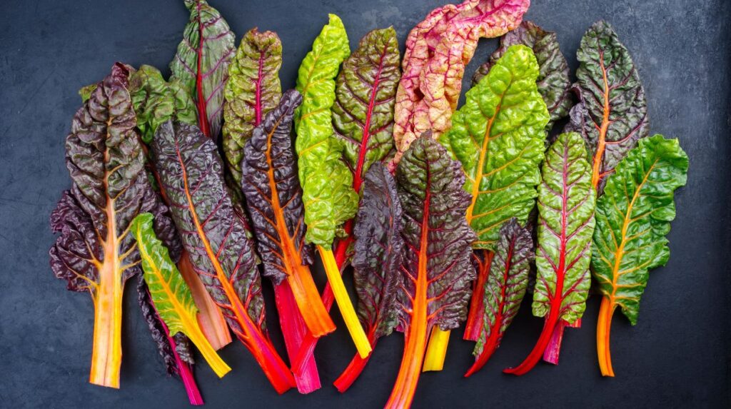 Swiss Chard