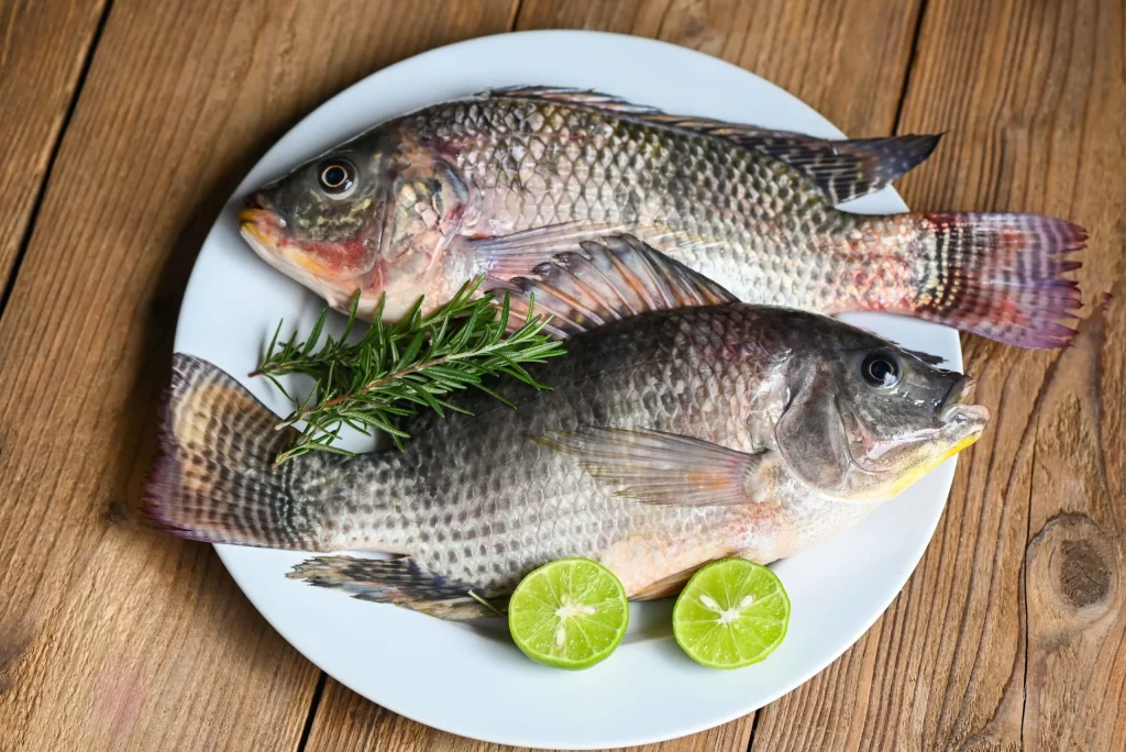 Tilapia Benefits