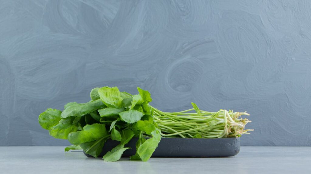 Watercress Benefits