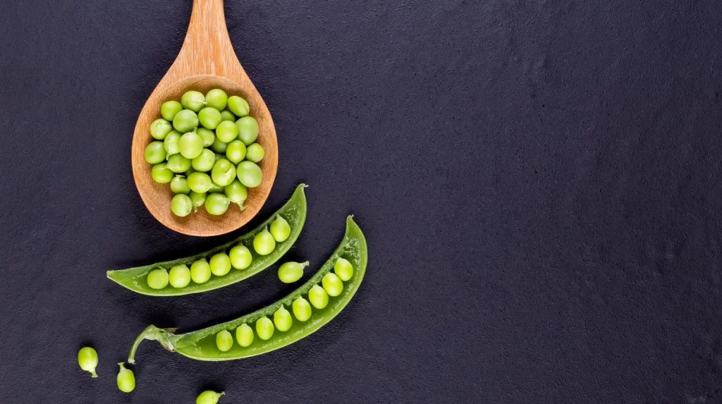 What Are Lima Beans?