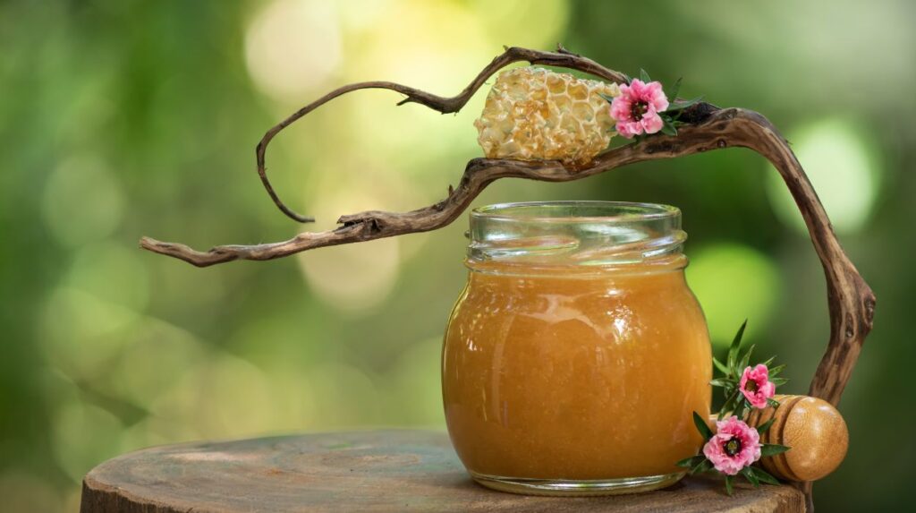 What Is Manuka Honey?